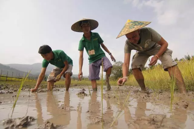 Paano kumuha ng iyong sarili sa bakasyon sa Luang Prabander? 11769_5