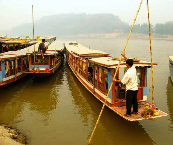 Phomola pakbenge: u ka fumana joang? 11797_10