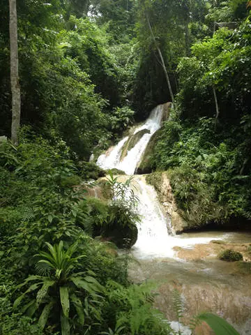 Malolo ma tamaiti i Legang Prabang. Mea e fai? 11808_4