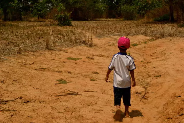 Wanneer is het de moeite waard om te rusten in Cambodja? 11872_12