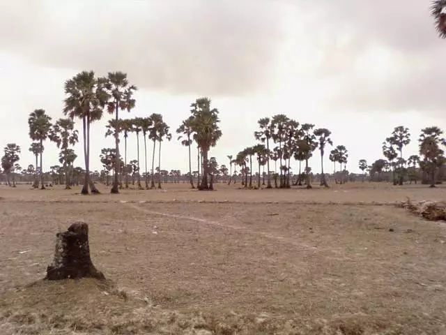 O le a le taimi e tatau ai ona malolo i Cambodia? 11872_13