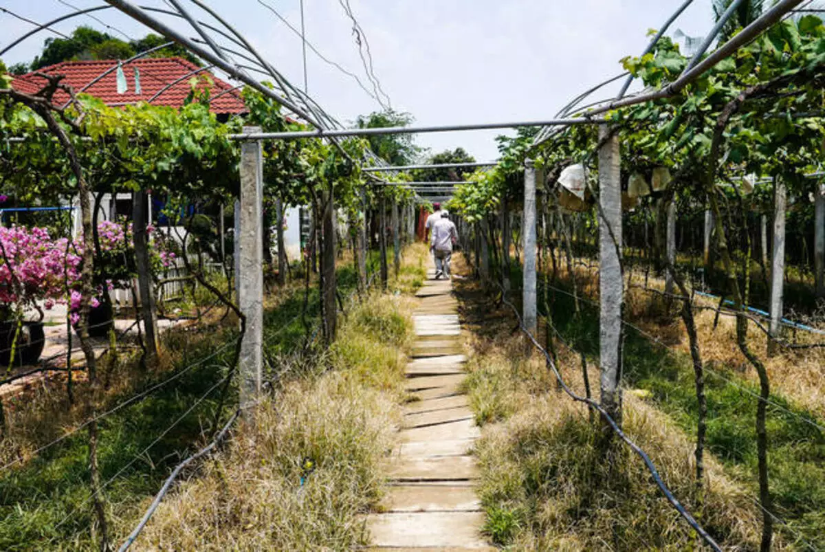 Que facer de vacacións en Battambang? Mellor entretemento. 11888_5