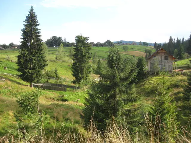 Kyakkyawan bazara Rhodhe a cikin manyan tsaunuka 11889_1