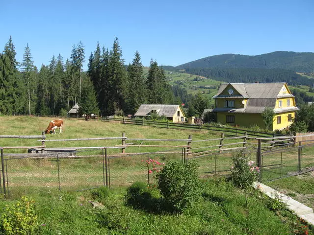 Прекрасна літня Ворохта в високих горах 11889_2