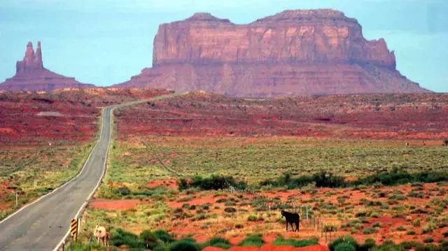 Funksjes fan 'e fekânsje yn Grand Canyon 11907_5