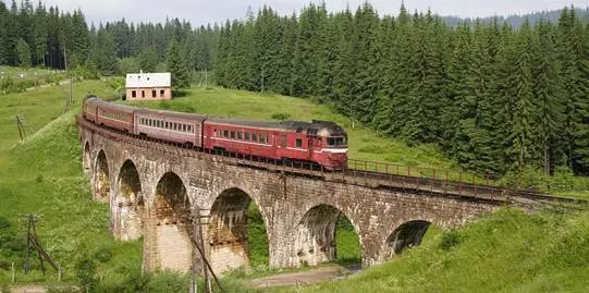 Bıyık mı olacak?