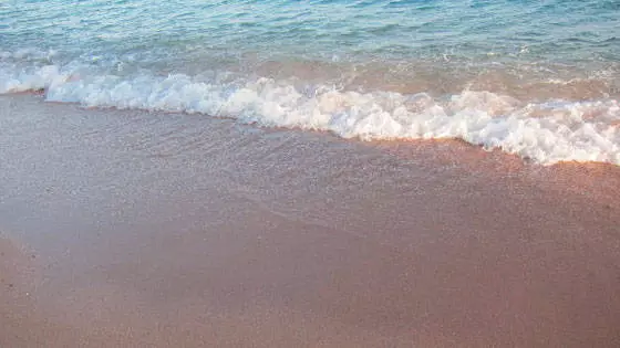 Rich Red Sea coast of Sharm El Sheikh. 11984_2