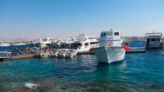 Rijke rode zeekust van Sharm El Sheikh. 11984_3