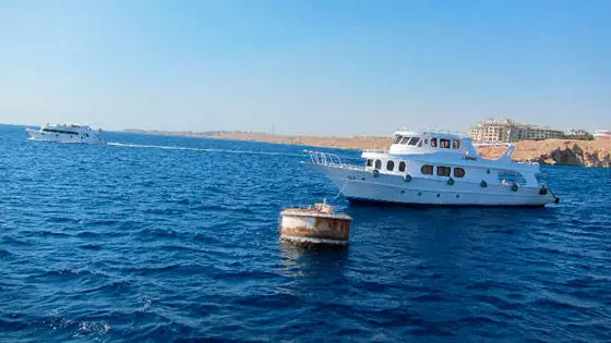 Rich Red Sea coast of Sharm El Sheikh. 11984_4