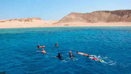 Reiche rote Meeresküste von Sharm El Sheikh. 11984_6