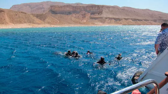 Rich Red Sea Coast ng Sharm El Sheikh. 11984_7