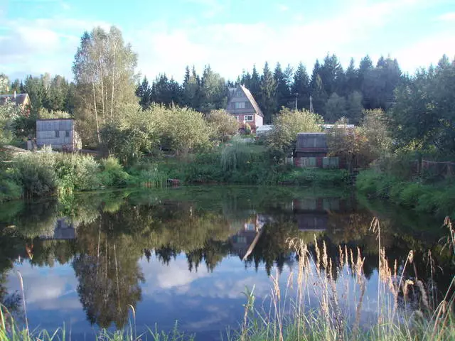 Vitebsk मध्ये आराम करण्यासाठी सर्वोत्तम वेळ 12059_2