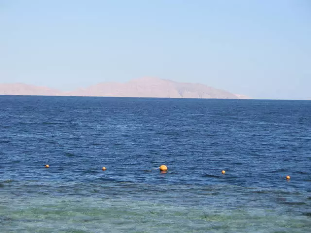 Sharm El-Sheikh - ດອກໄມ້ທະເລຊາຍ 12064_5