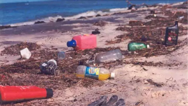 Pantai anu pangsaéna