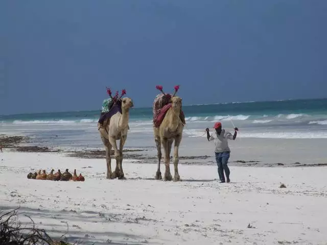 Características da recreación en Mombasa 12386_2