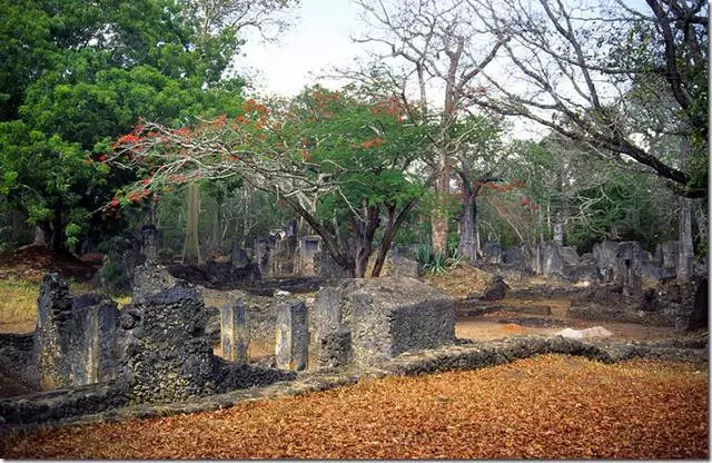 Qu'est-ce qui vaut la peine d'être consulté à Mombasa? 12401_14