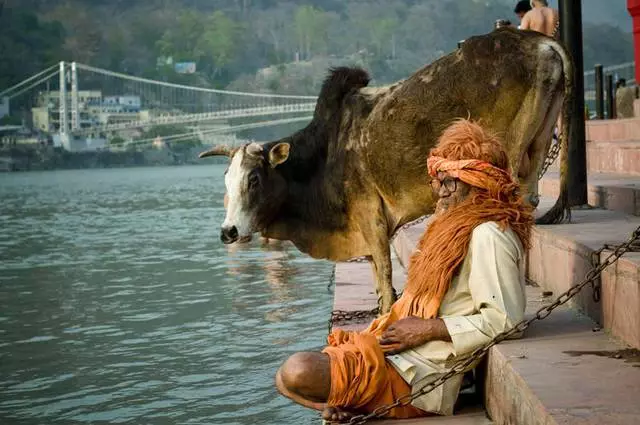 Tanànan'i Yogis sy Sadhu - Rishikesh 12431_3