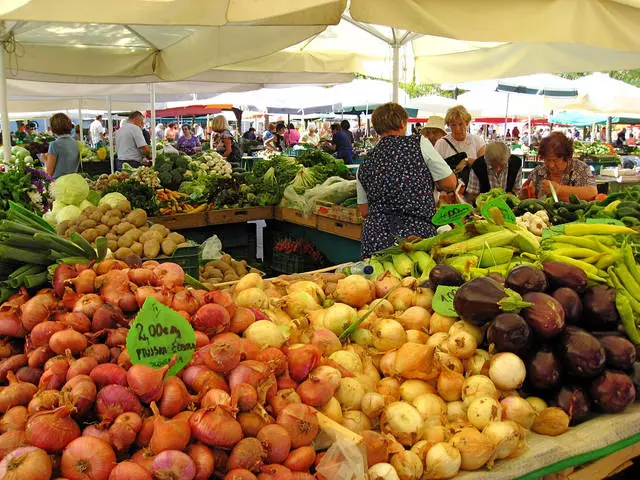 Wou sollen akafen a wat fir ze kafen an der Ljubljana?