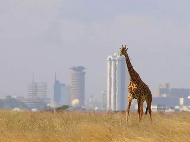 Karakteristikat e rekreacionit në Nairobi 12488_2