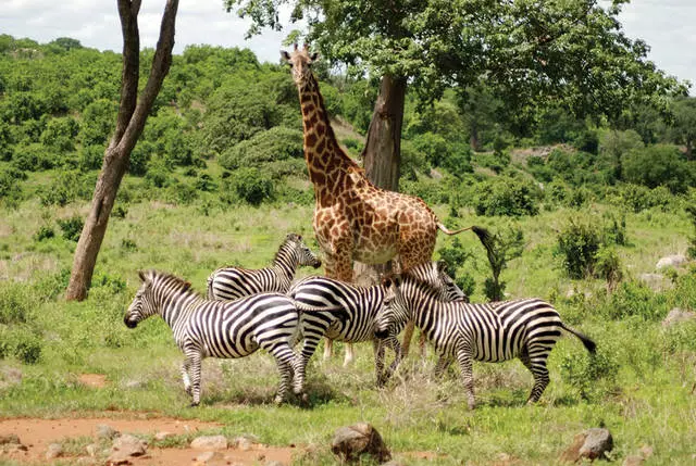 Hokker ynteressante plakken moatte wurde besocht yn Kisumu?