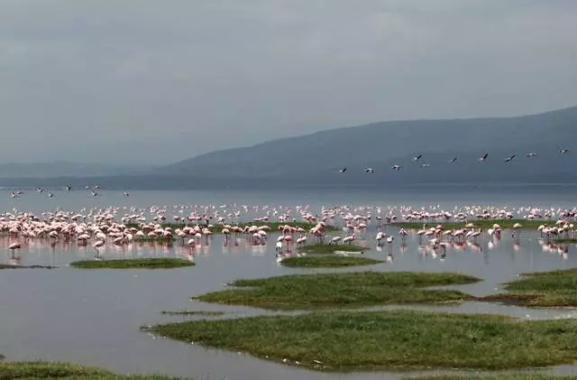 Tempat anu pikaresepeun anu tiasa dilongok di KISUU? 12531_3