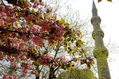 Unsang orasa kini labi ka maayo nga magpahulay sa Istanbul? 12620_2