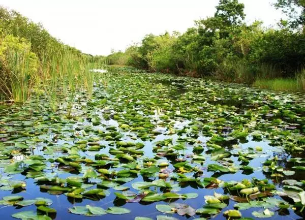 ការកម្សាន្តល្អបំផុតនៅម៉ៃអាមី