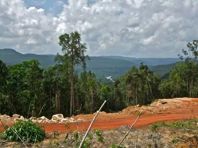 Varför väljer turister Koh Kong? 13018_12