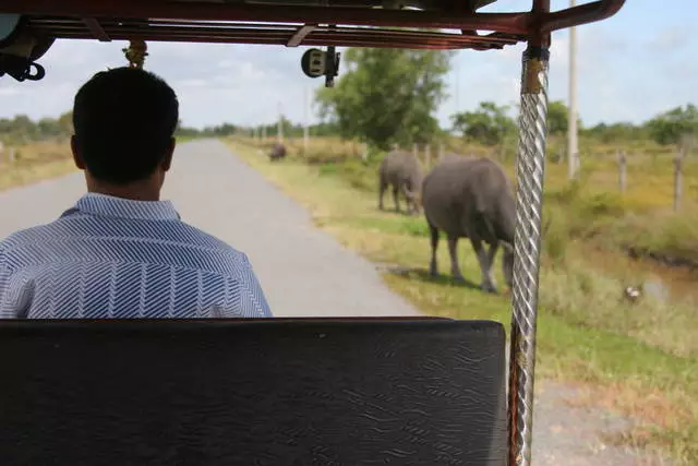 Kial turistoj elektas Koh Kong? 13018_15