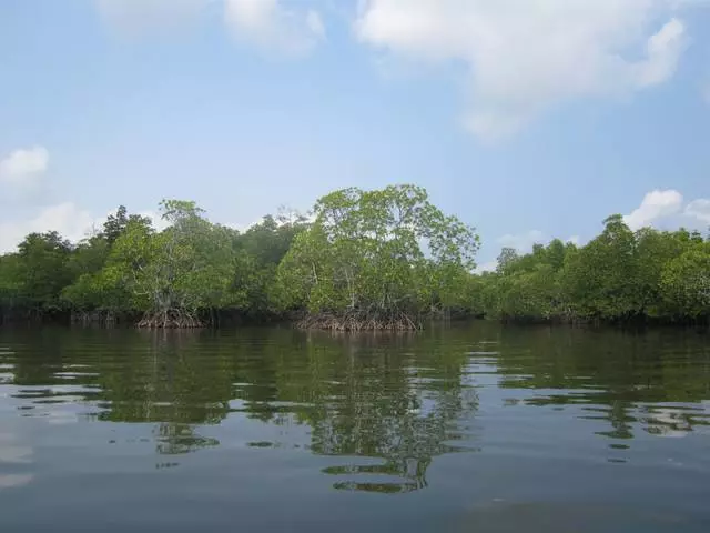 Zergatik aukeratzen dute turistek Koh Kong? 13018_9