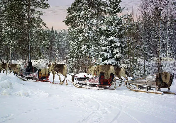 Wanneer is het de moeite waard om te rusten in Rovaniemi? 13077_1