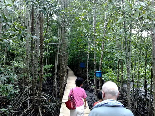 Paano kumuha ng iyong sarili sa bakasyon sa Koh Kong? 13168_3