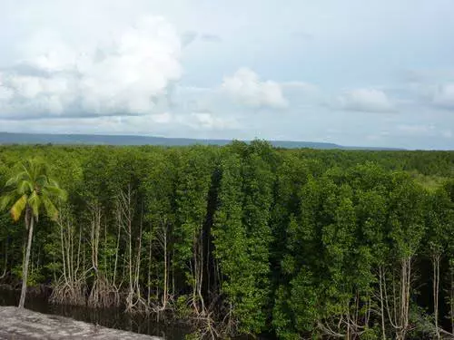 ¿Cómo tomarse de vacaciones en Koh Kong? 13168_9