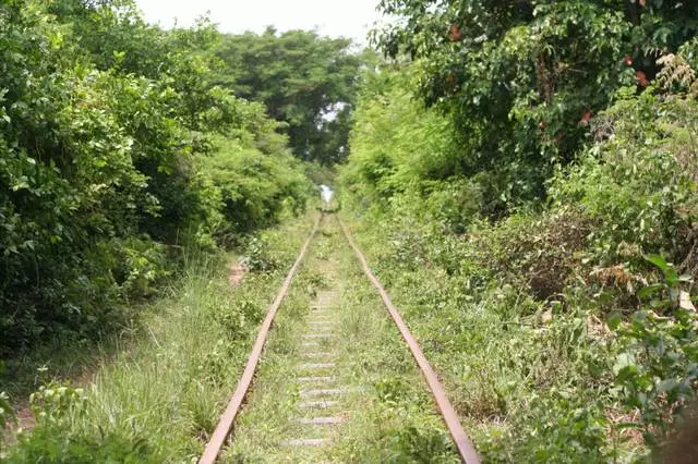 Repoze ak timoun nan Battambang. Konsèy itil. 13195_7