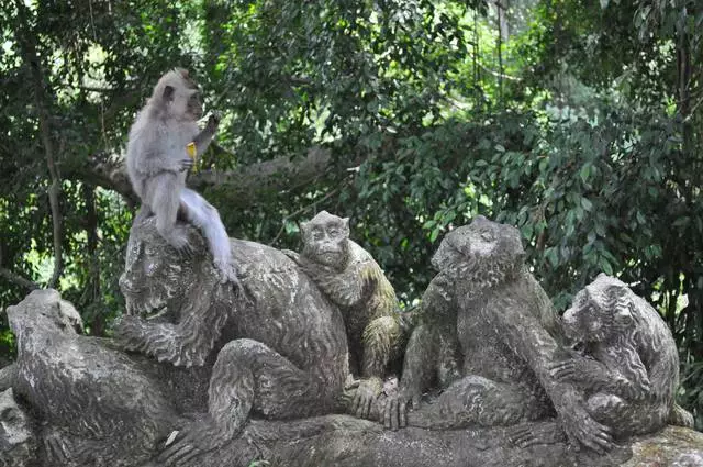 Op vakansie op Bali met 'n kind. Nuttige wenke. 13296_7