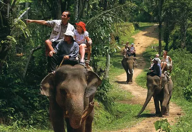 Liburan di Bali sareng murangkalih. Tips kapake. 13296_9