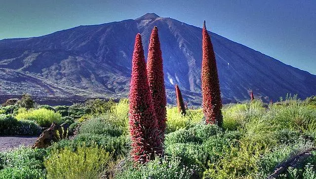 Laethanta Saoire Meán Fómhair i Tenerife 13410_1