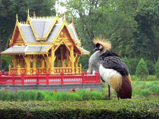 Tempat yang paling menarik di Hamburg. 13478_3