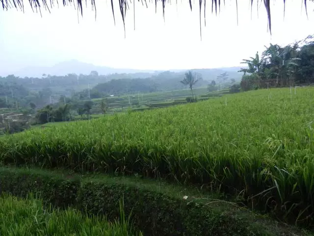 Bandung'da dinlenmek ne zaman daha iyidir? 13557_3