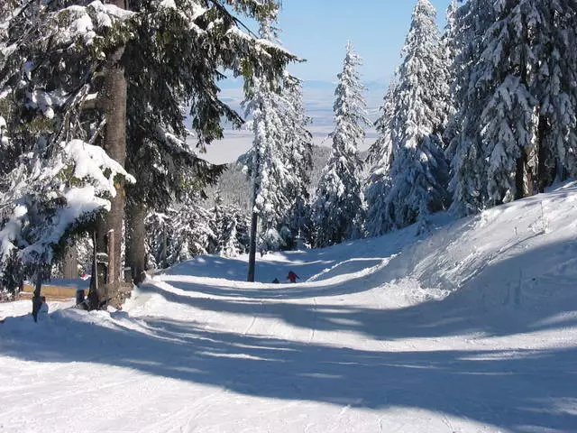 Pahinga sa Poyana-Brasov: Para sa at laban