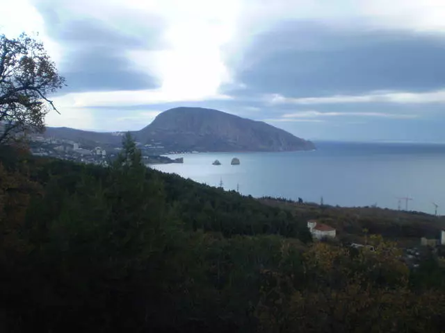 Golden Yalta. 14018_1