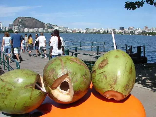 Rio de Janeiro: Amakuru yingirakamaro kuri ba mukerarugendo 14050_6