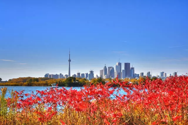 Useful information about the holiday in Toronto. 14238_11