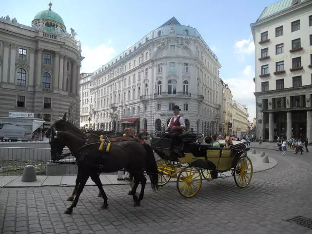 Vienna: O le lalolagi o faaosoosoga, mea taugata ma miti 14386_2