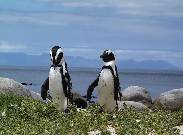 Cele mai interesante locuri din Cape Town.