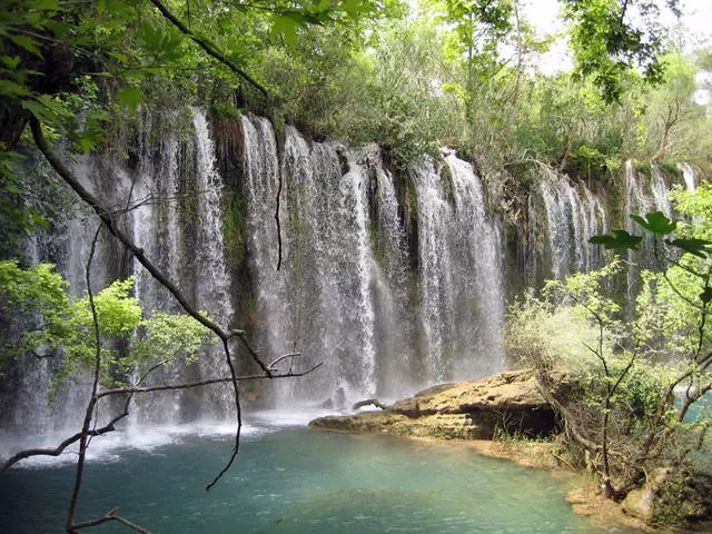 Ngano nga gipili sa mga turista ang CADRY?