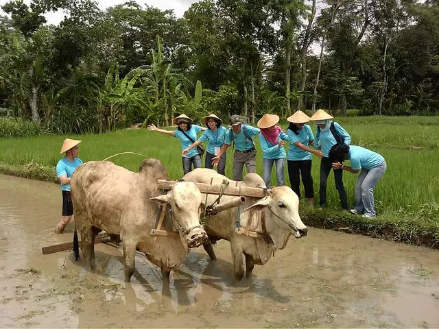 ¿Qué debe esperar de la recreación en Jokyakarta? 14711_6