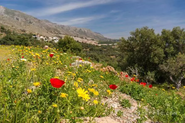 איז דער כאָר ספאַקיאָן פֿאַר פאַרווייַלונג מיט קינדער? 14816_4