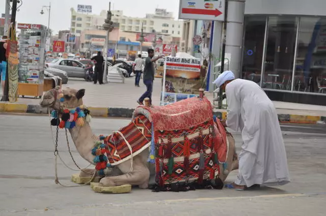 Wat om oor Hurghada te beweeg?