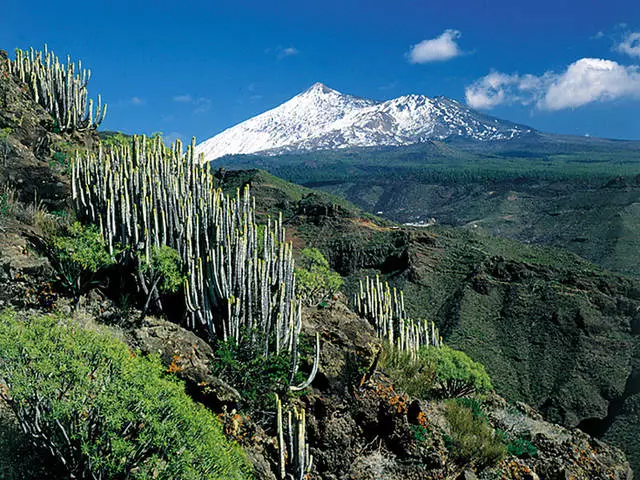 Waar te gaan op Tenerife en wat te zien? 15119_1